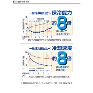 LOGOS ロゴス 氷点下パックGT-16℃・...の詳細画像2