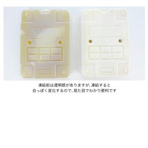 LOGOS ロゴス 氷点下パックGT-16℃・...の詳細画像3