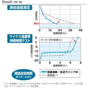 LOGOS ロゴス 倍速凍結・氷点下パック コ...の詳細画像1