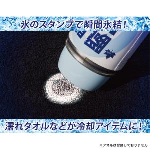 LOGOS ロゴス 瞬間アイススタンプの詳細画像1