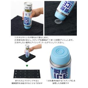 LOGOS ロゴス 瞬間アイススタンプの詳細画像2