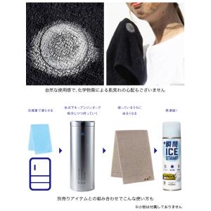 LOGOS ロゴス 瞬間アイススタンプの詳細画像3