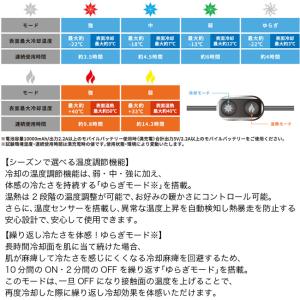 LOGOS ロゴス ペルチェヒート&ク...の詳細画像2