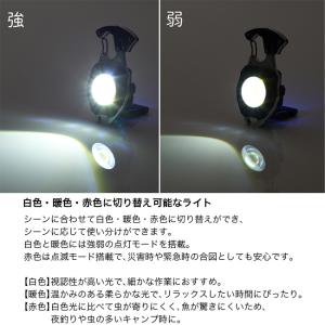 LOGOS ロゴス 着火できる USBサバイバ...の詳細画像2
