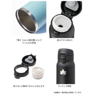 LOGOS ロゴス ThermoWall 真空...の詳細画像3