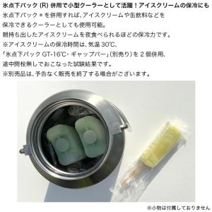 LOGOS ロゴス コンビニアイスがそのまま入...の詳細画像4