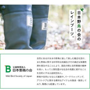 【予約販売】日本野鳥の会 バードウォッチング長...の詳細画像1