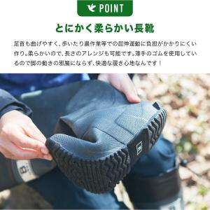 【予約販売】日本野鳥の会 バードウォッチング長...の詳細画像2