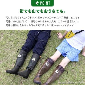 【予約販売】日本野鳥の会 バードウォッチング長...の詳細画像5