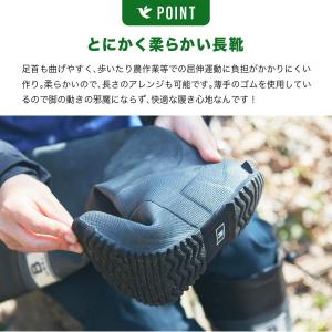 日本野鳥の会 日本野鳥の会 バードウォッチング...の詳細画像3