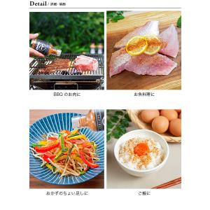 七代目こばやし お肉専用スパイス 七代目こばや...の詳細画像3