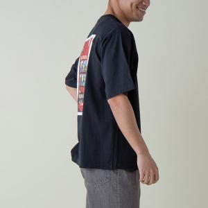 PENDLETON ペンドルトン ナショナルパ...の詳細画像1