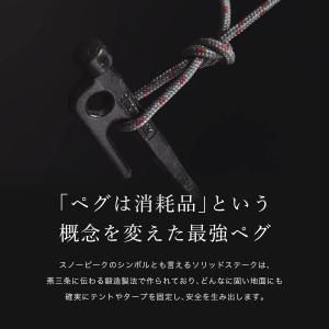 snow peak スノーピーク カラーステーク30の詳細画像2