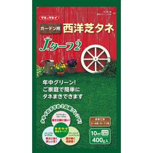 ◎タキイ種苗 Jターフ2の商品画像