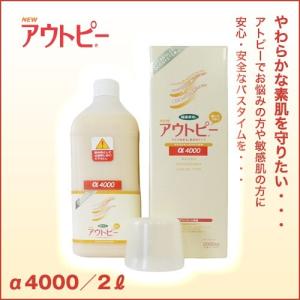 常備浴 富山常備薬 黒部グリーンの湯色 森林の香り 大容量400mL(20回分