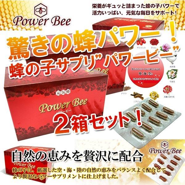 パワービー Power Bee　2箱セット アミノ酸 健康サプリメント