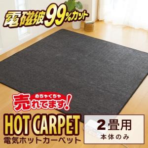 ZENKEN ゼンケン 電磁波99％カット 電気ホットカーペット 本体のみ 2畳 ZCB-20P