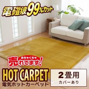 ZENKEN ゼンケン 電磁波99％カット 電気ホットカーペット 2畳カバー付き ZC-20P