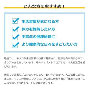 健康補助食品 キングメシマコブ高濃度抽出エキス 15袋 ストア 菌糸体 キノコ加工食品 P L7001