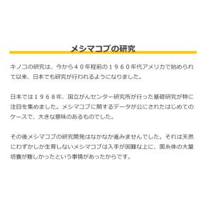 健康補助食品 キングメシマコブ高濃度抽出エキス 15袋 ストア 菌糸体 キノコ加工食品 P L7001