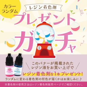 レジン液 ソフトタイプ グミ 曲がる 大容量1...の詳細画像3