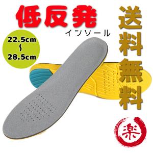 不動技研（FUDOGIKEN） インソール リフレッシュ 24.0〜28.0cm 抗菌 消
