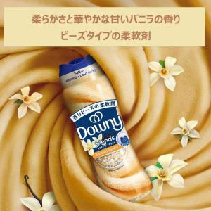 ダウニー ブレンズ 柔軟剤ビーズ バニラ 235gの詳細画像2