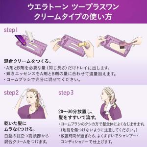 HFCプレステージジャパン ウエラトーン2+1...の詳細画像2