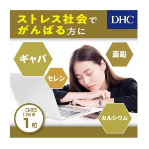 ◆DHC ギャバ(GABA) 20日分(20粒)の詳細画像1