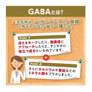 ◆DHC ギャバ(GABA) 20日分(20粒)の詳細画像2