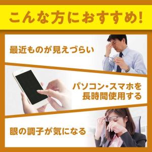 ◆【機能性表示食品】DHC ルテイン光対策 6...の詳細画像1