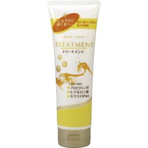 ヘアケア トリートメント 240G