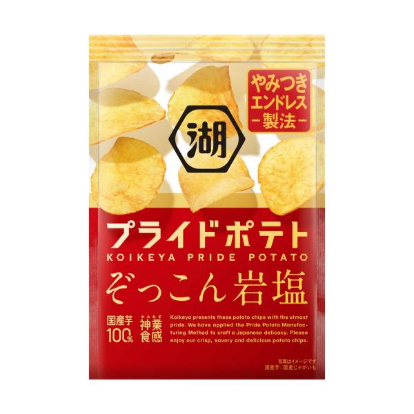 ◆湖池屋 プライドポテト ぞっこん岩塩 55G【12個セット】