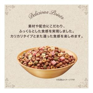 ユニ・チャーム グラン・デリ ふっくら仕立て ...の詳細画像1