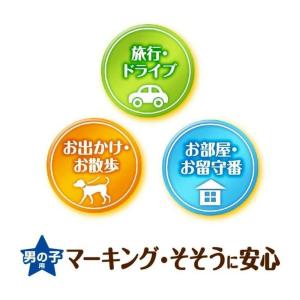 マナーウェア男の子 LL32枚の詳細画像2