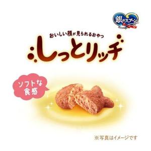 銀のスプーンおやつしっとり シーフード 50gの詳細画像1