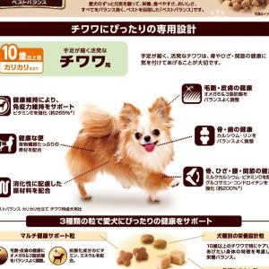 ベストバランスチワワ用10歳 1.8Kgの詳細画像1