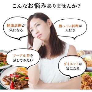 ◆ユウキ製薬 徳用プーアル茶 3g×60包の詳細画像1