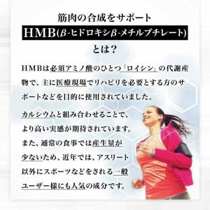 ◆ユウキ製薬 HMB+クレアチン スタンドパッ...の詳細画像5