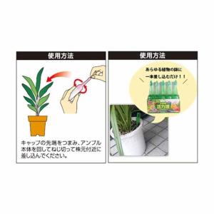 サンアンドホープ 全植物活力剤 33mlX10の詳細画像2
