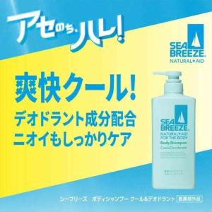 ファイントゥデイ シーブリーズ ボディシャンプ...の詳細画像1