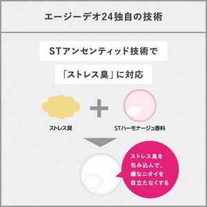 【医薬部外品】ファイントゥデイ エージーデオ2...の詳細画像1