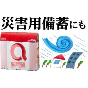 HouseLab カセットガス・サンa 250...の詳細画像4