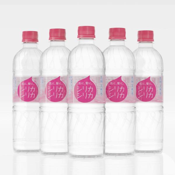 ◆美いね！シリカシリカ 500ml 【24本セット】
