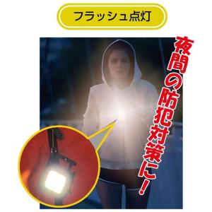 トレードワン ワークライトミニ カラビナ付きの詳細画像3