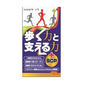 サプレックス ◇資生堂 α‐リポ酸（N） 120粒 : サンドラッグe-shop