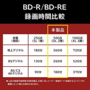 アールアイジャパン RiDATA くり返し録画...の詳細画像2