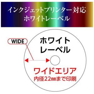 アールアイジャパン RiDATA くり返し録画...の詳細画像4