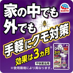 おすだけクモアーススプレー 屋内用 60回分の詳細画像2