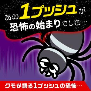 おすだけクモアーススプレー 屋内用 60回分の詳細画像3